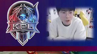 两个简要案